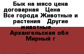 Бык на мясо цена договарная › Цена ­ 300 - Все города Животные и растения » Другие животные   . Архангельская обл.,Мирный г.